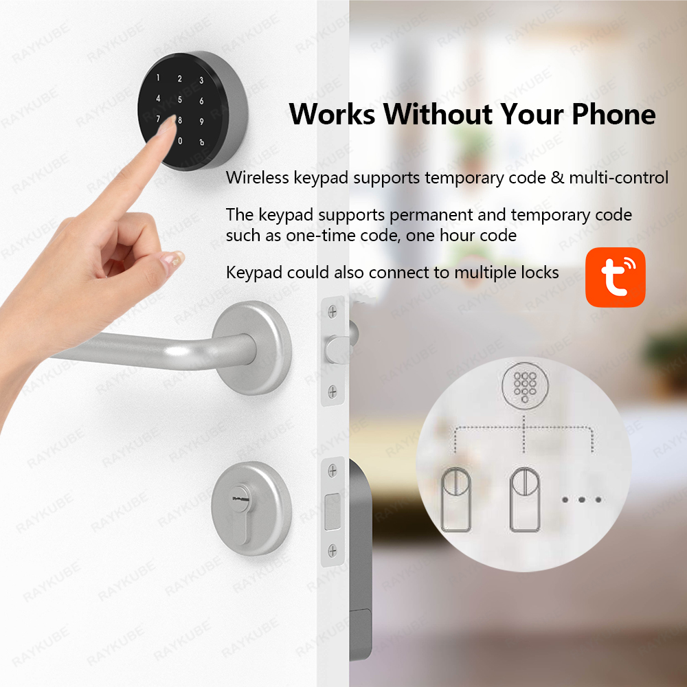 RAYKUBE A1 Pro Tuya BEL スマート電子 - Smart Home Ezviz のレビューと価格