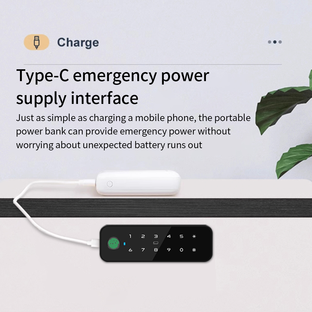 Tuya Bluetooth スマート木製キャビネット指紋ロ - Smart Home Key のレビューと価格